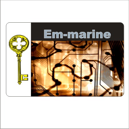 Бесконтактный чип EM MARIN Для Дисконтной карты 